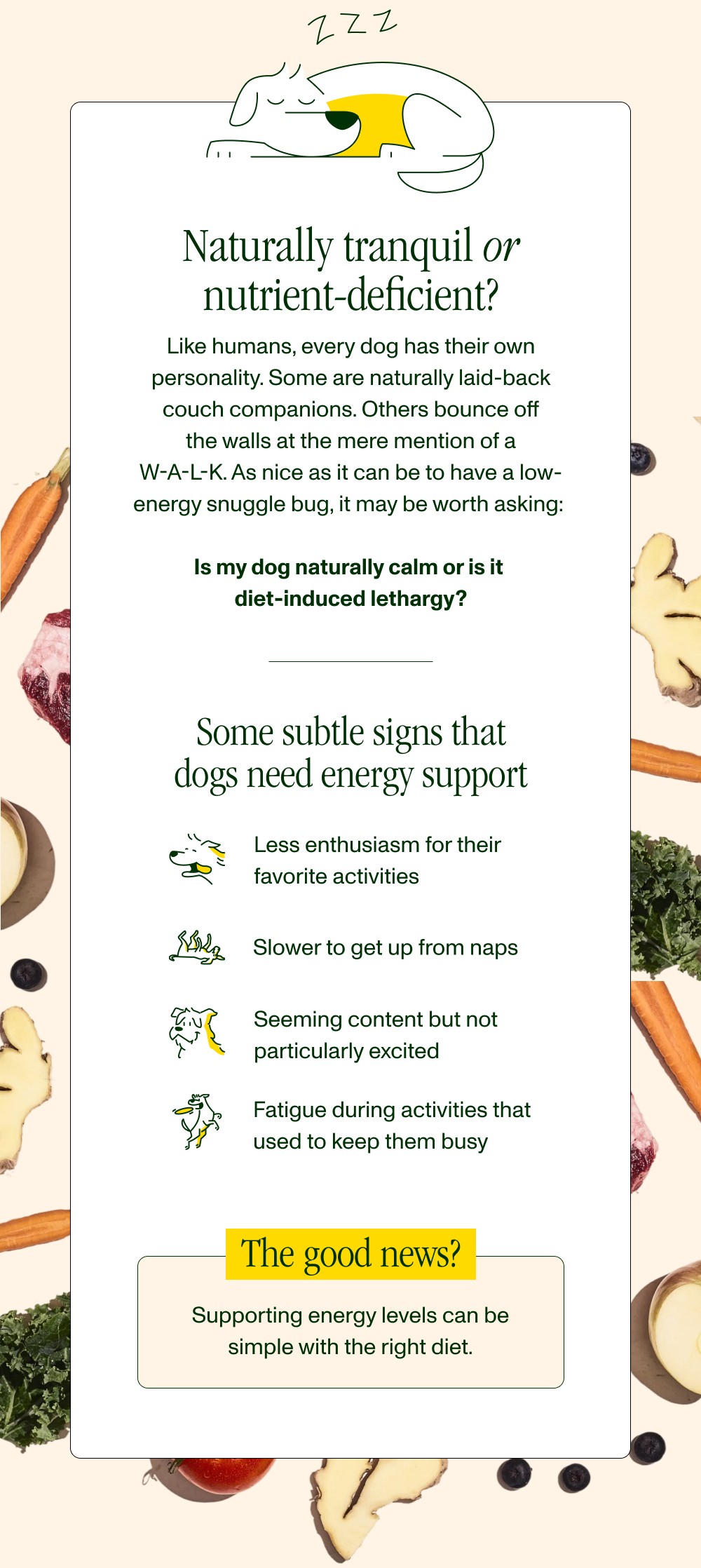 Naturally tranquil or nutrient-deficient? Like humans, every dog has their own personality. Some ...