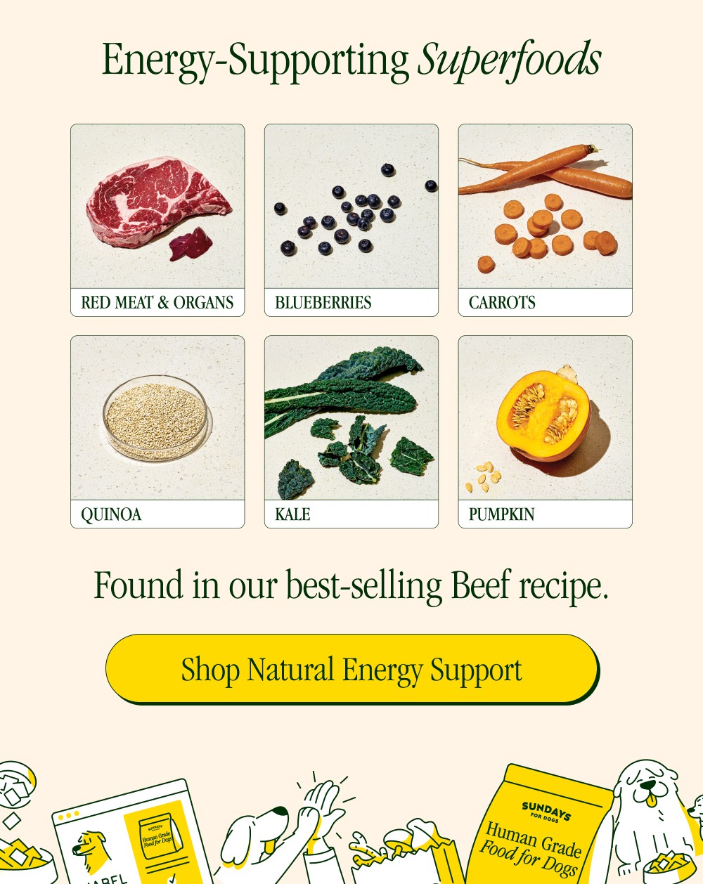 Shop Natural Energy Support Found in our best-selling Beef recipe. RED MEAT & ORGANS BLUEBERRIES ...