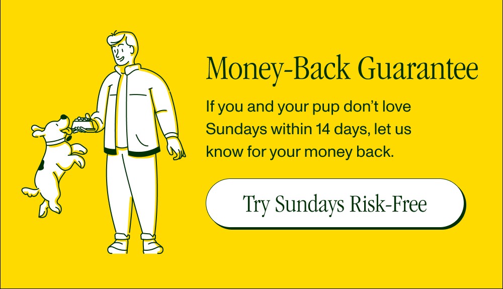 Money-Back Guarantee  If you and your pup don’t love Sundays within 14 days, let us know for your...