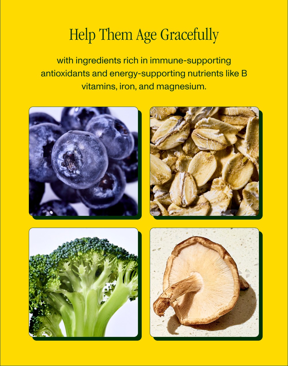 Help Them Age Gracefully with ingredients rich in immune-supporting antioxidants and energy-suppo...