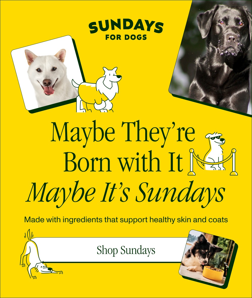 Maybe They’re Born with It Maybe It’s Sundays Made with ingredients that support healthy skin and coats Shop Sundays