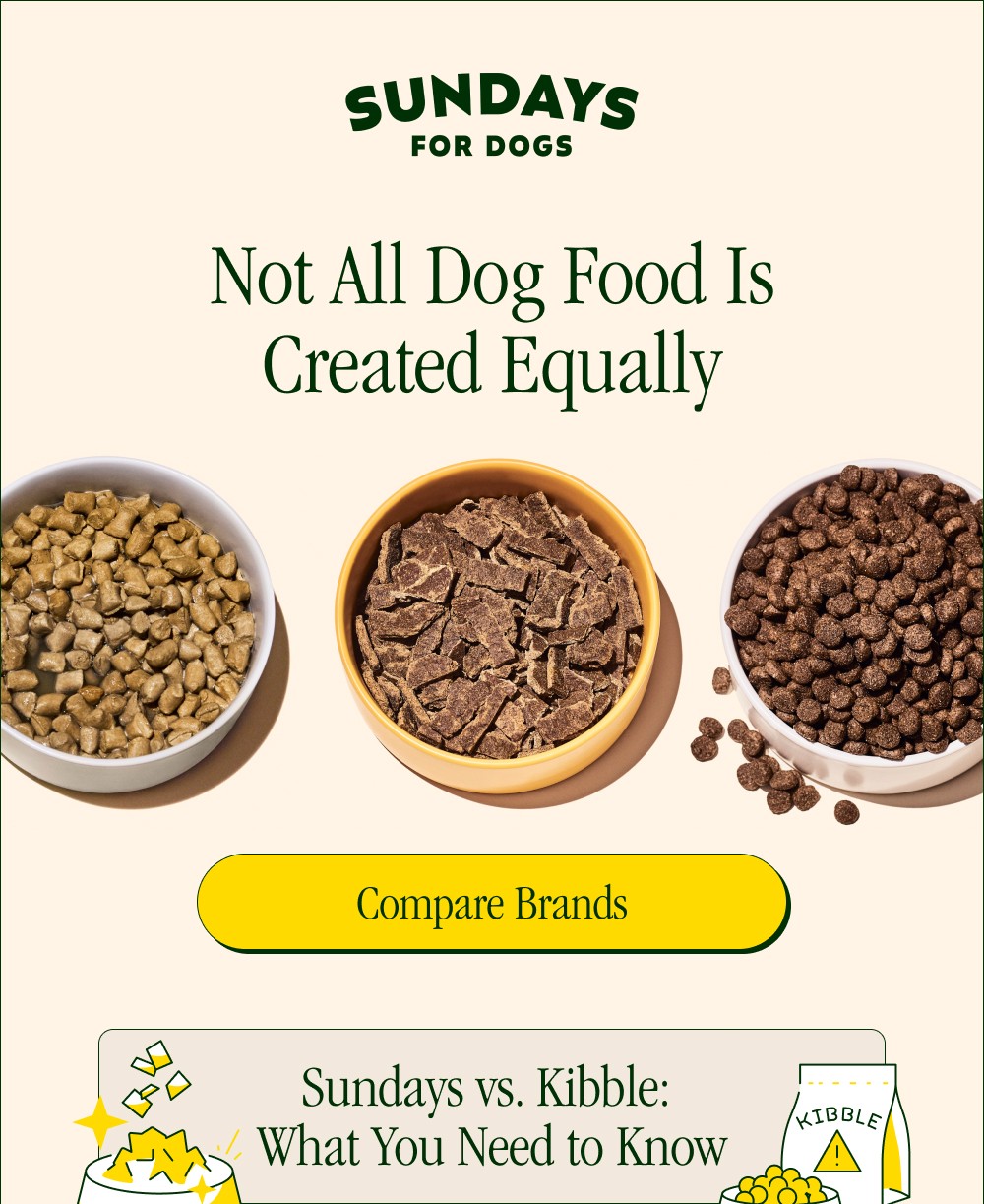 Not All Dog Food Is Created Equally Compare Brands Sundays vs. Kibble: What You Need to Know