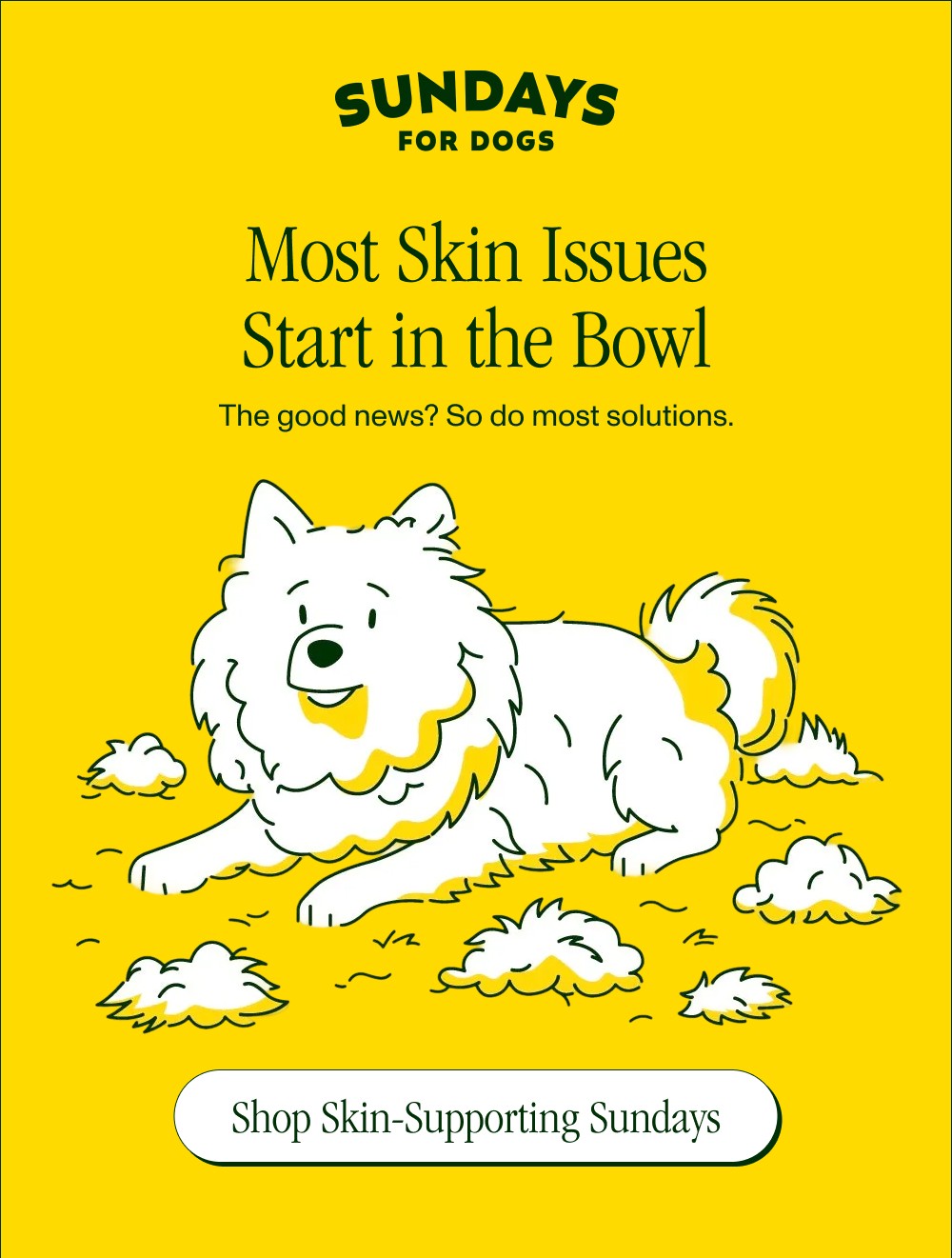 Most Skin Issues Start in the Bowl The good news? So do most solutions. Shop Skin-Supporting Sundays