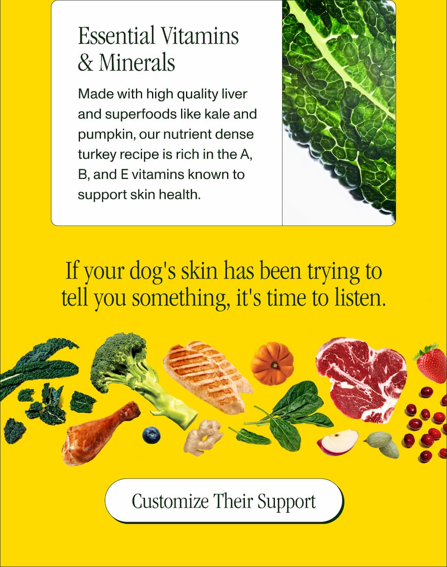 Essential Vitamins & Minerals Made with high quality liver and superfoods like kale and pumpkin, our nutrient dense turkey recipe is rich in the...