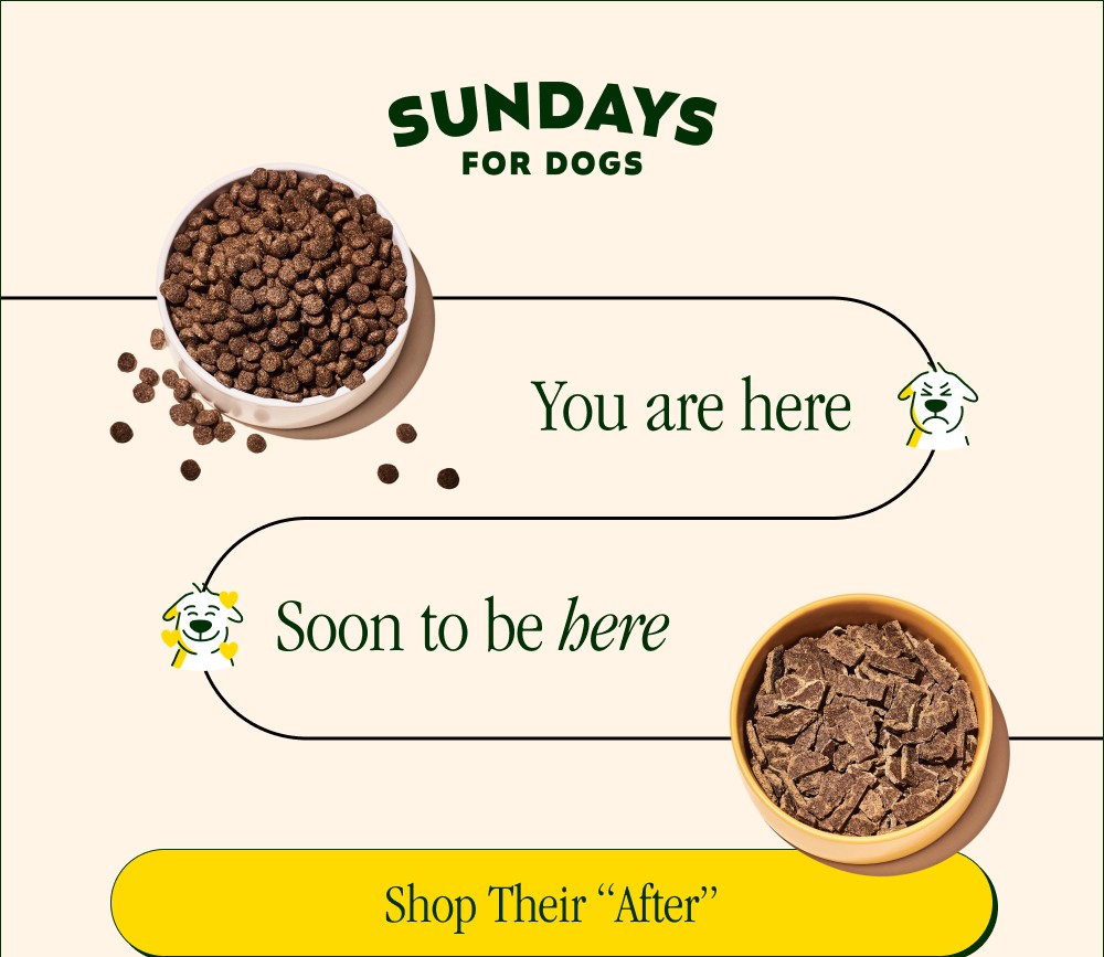 You are here Soon to be here Shop Their “After” One Choice Can Make All the Difference “We've had our dog Joey on Sundays for a month and we have...