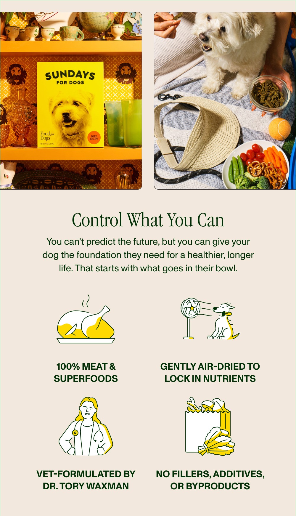 Control What You Can You can't predict the future, but you can give your dog the foundation they need for a healthier, longer life. That starts with what goes in their bowl. 100% meat & superfoods Gently air-dried to lock in nutrients Vet-formulated by Dr. Tory Waxman No fillers, additives, or byproducts Customize Their Recipe *Exclusive to Sundays’ Chicken Recipe