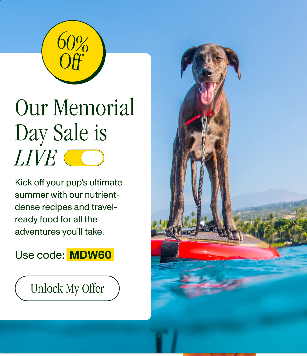 Email Exclusive: Your Memorial Day Savings Are Here