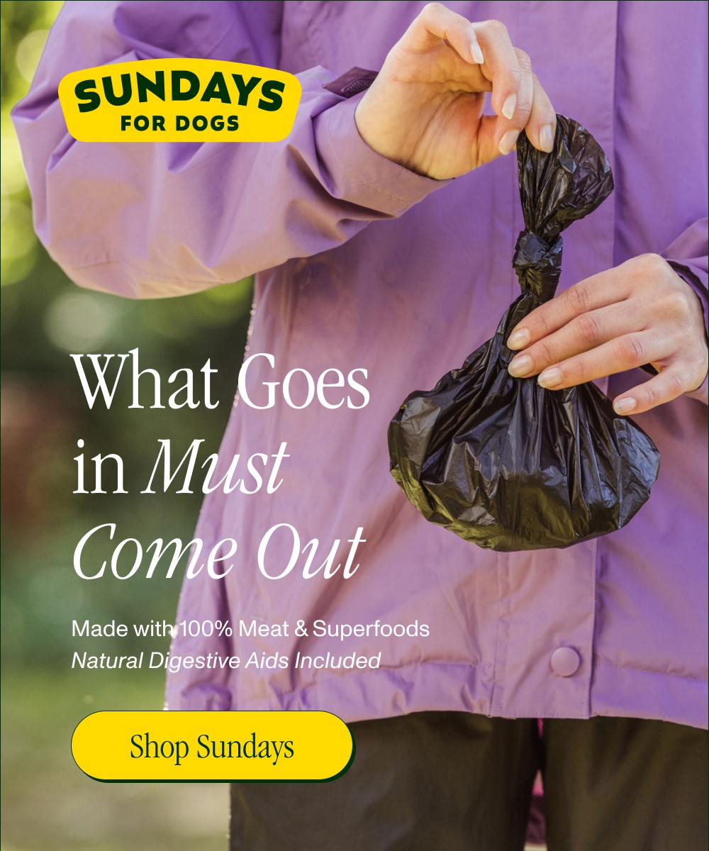 What Goes in Must Come Out Made with 100% Meat & Superfoods Natural Digestive Aids Included Shop ...