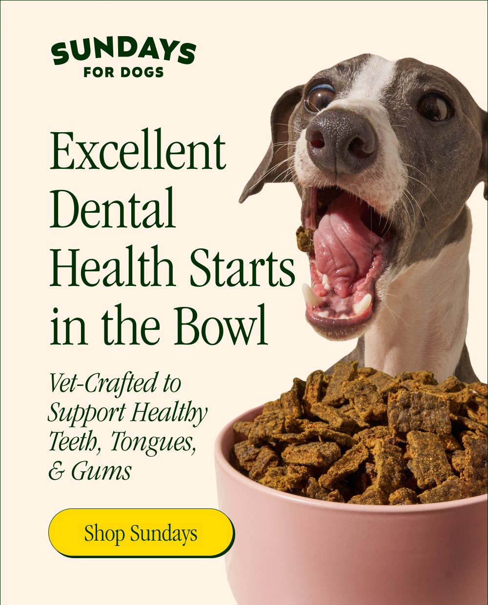Shop Sundays Excellent Dental Health Starts in the Bowl  Vet-Crafted to  Support Healthy  Teeth, ...