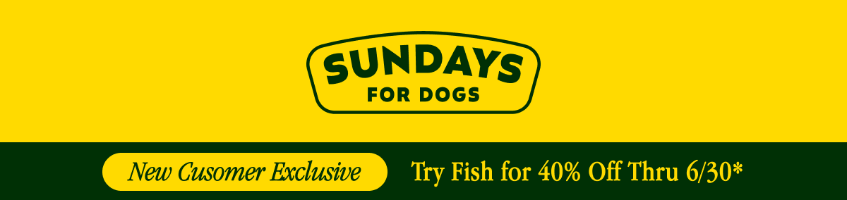 Sundays For Dogs