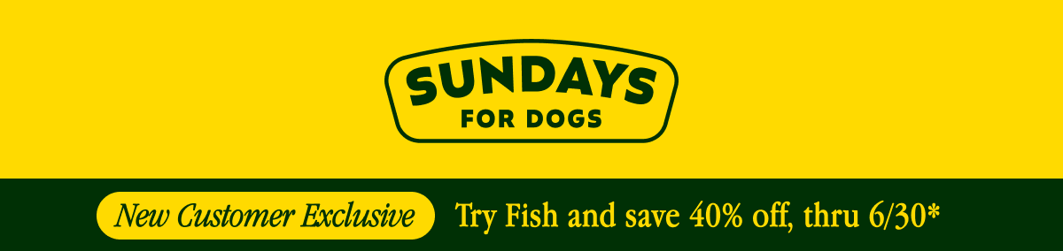 Sundays For Dogs