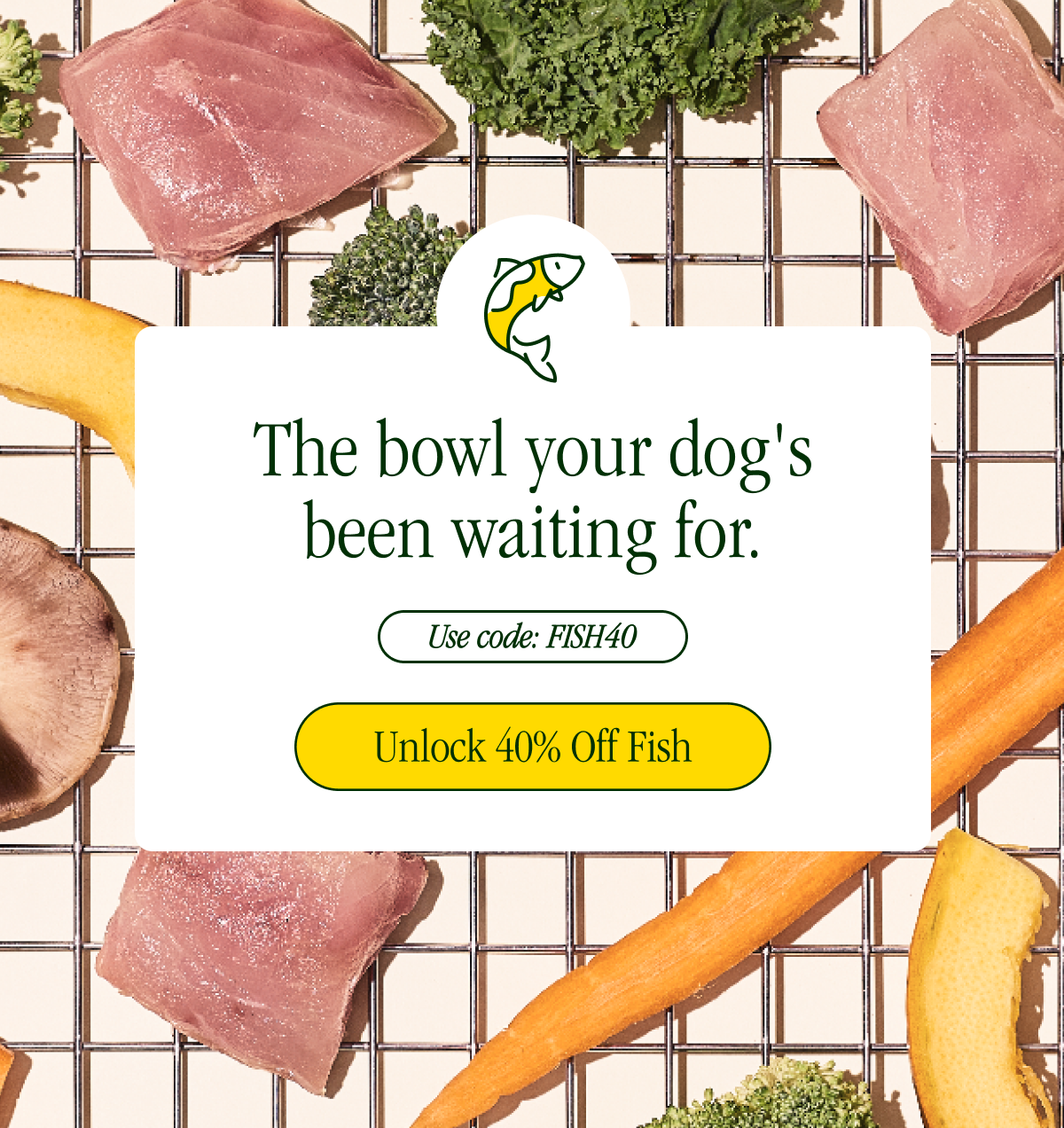 Save 30% on your first order