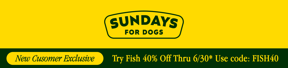 Sundays For Dogs