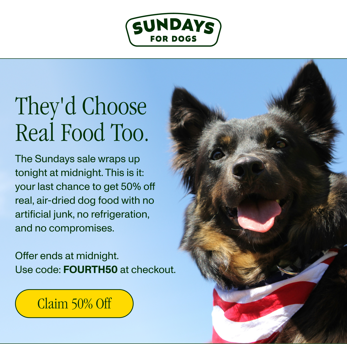 Sundays For Dogs