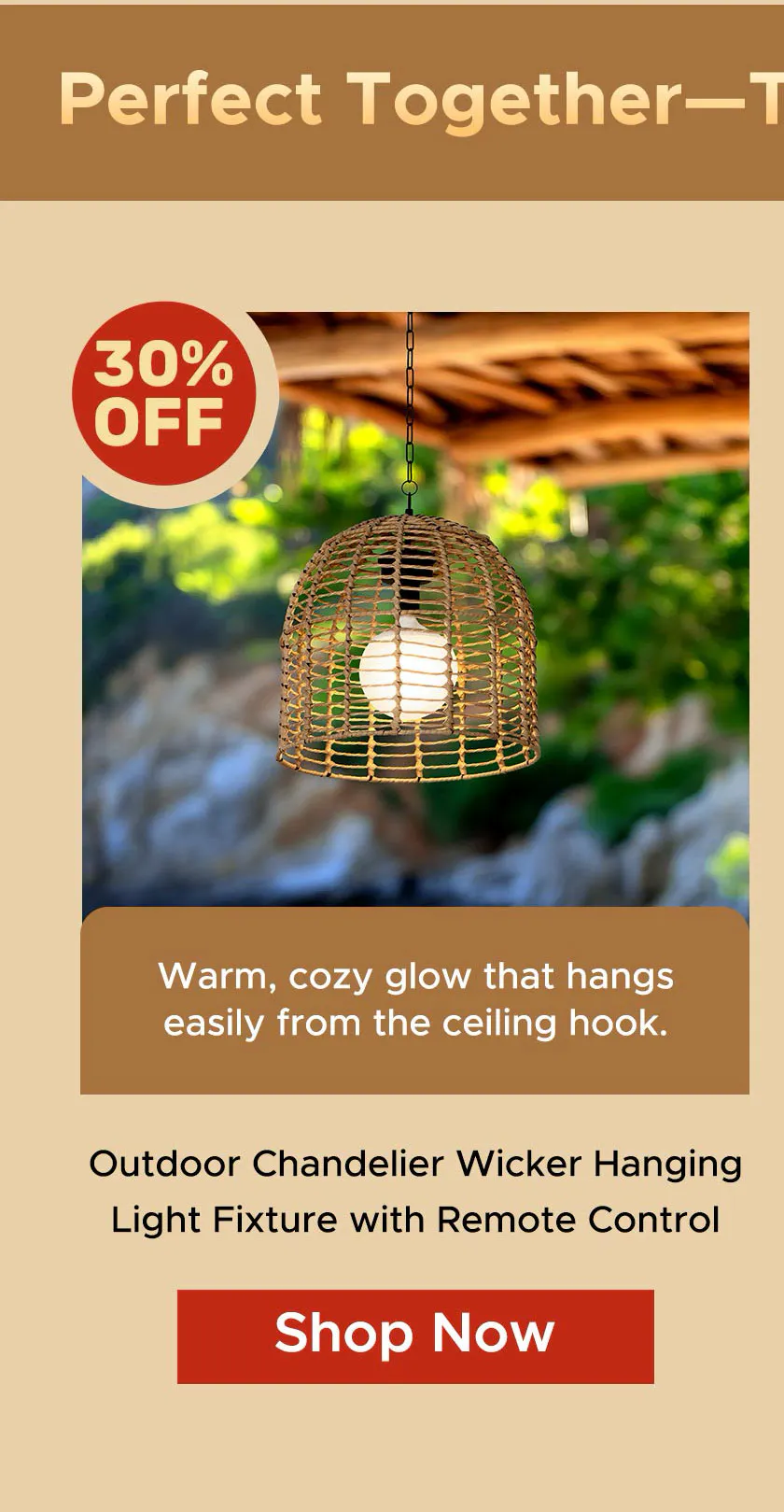 Email Image