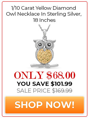 1/10 Carat Yellow Diamond Owl Necklace In Sterling Silver, 18 Inches