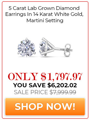 5 Carat Lab Grown Diamond Earrings In 14 Karat White Gold, Martini Setting