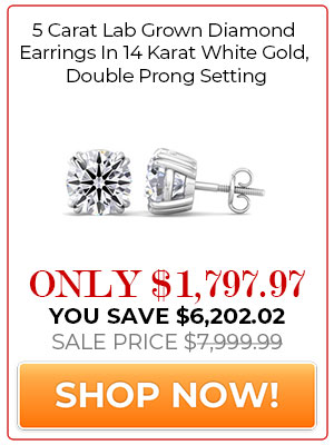 5 Carat Lab Grown Diamond Earrings In 14 Karat White Gold, Double Prong Setting