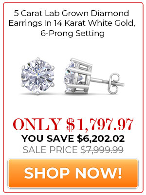 5 Carat Lab Grown Diamond Earrings In 14 Karat White Gold, 6-Prong Setting