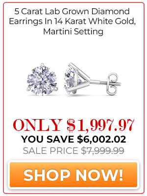 5 Carat Lab Grown Diamond Earrings In 14 Karat White Gold, Martini Setting