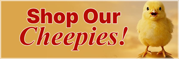 Shop Our Cheepies!
