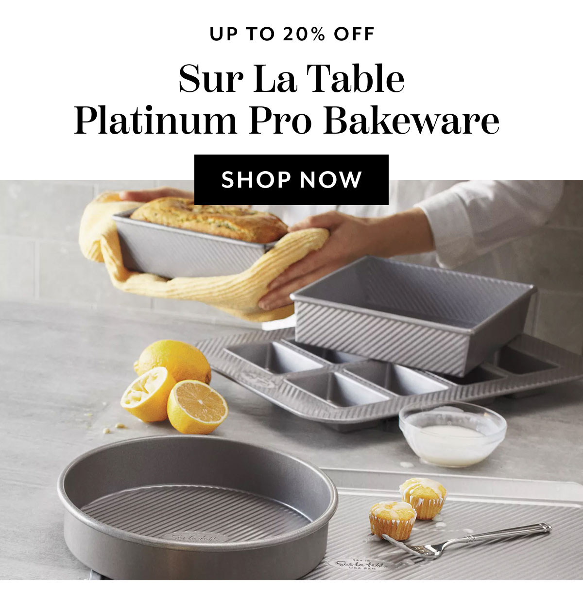 Sur La Table Platinum Pro