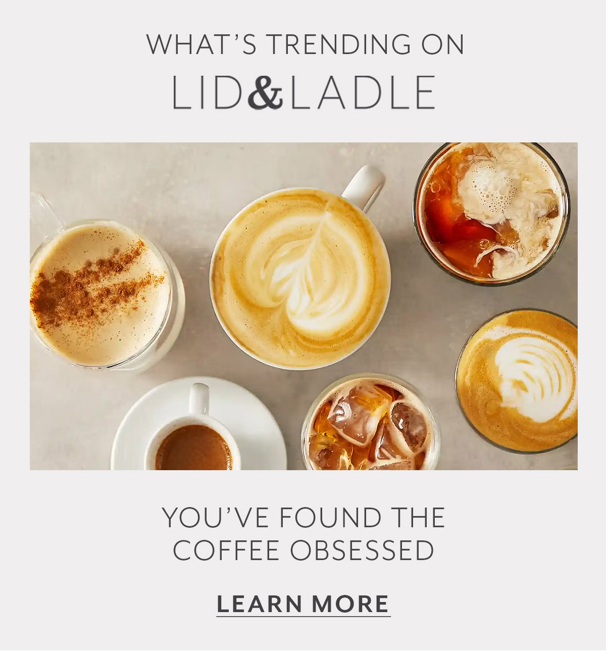 All Things Coffee Guide 