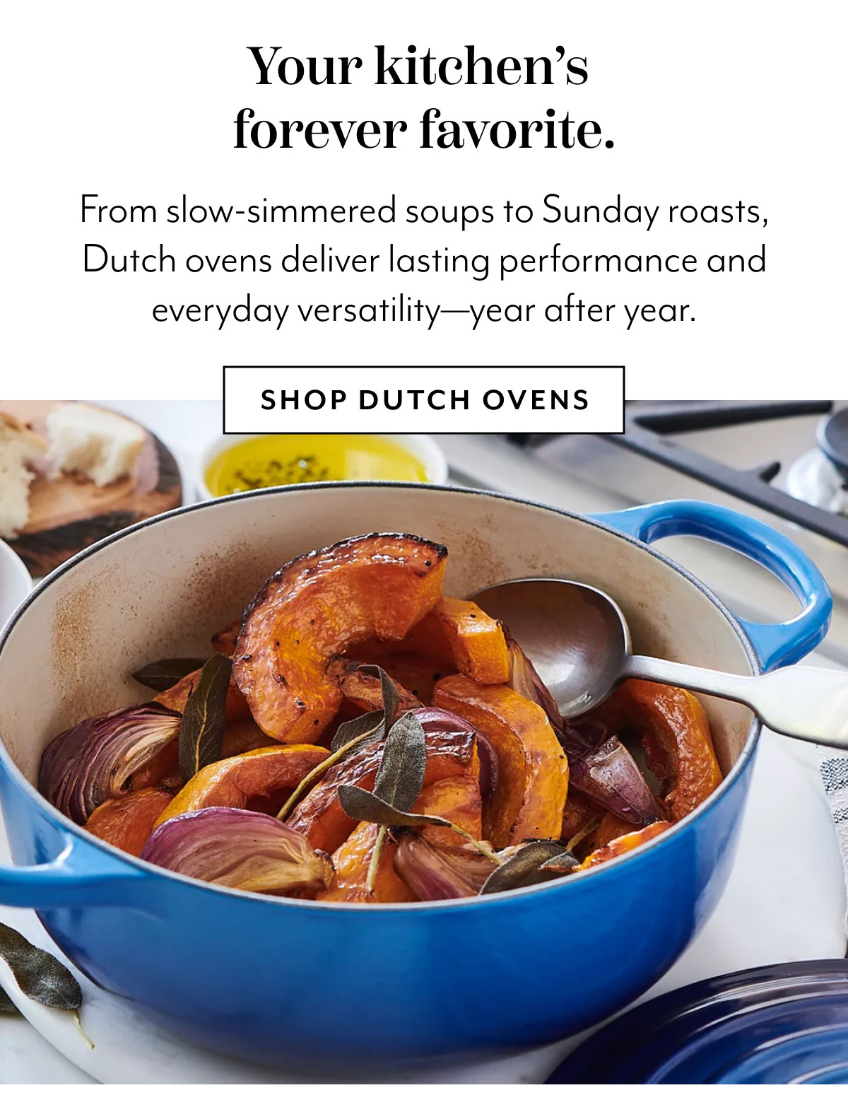Dutch Ovens & Braisers