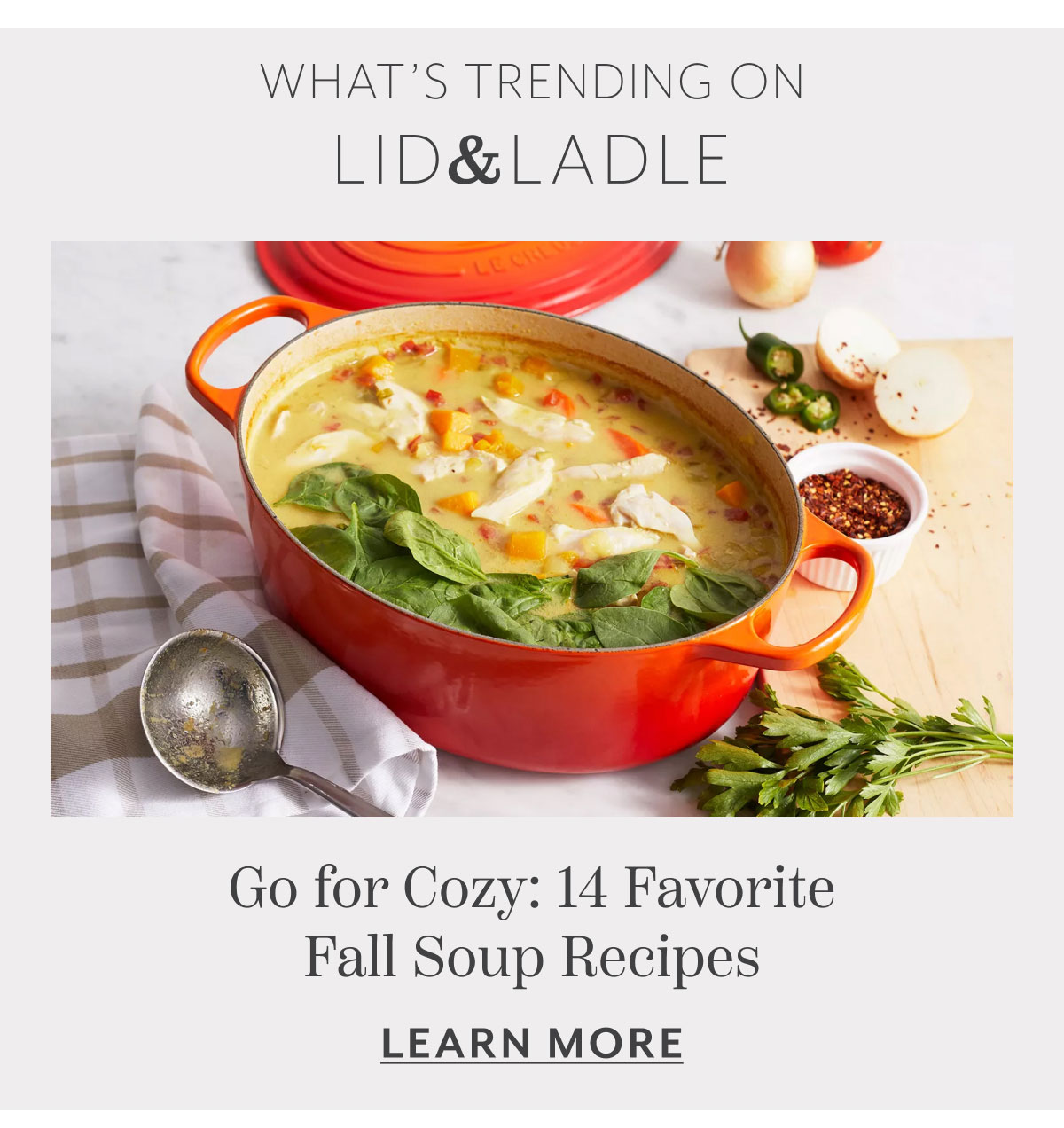 Go for Cozy: 14 Favorite Fall Soup Recipes