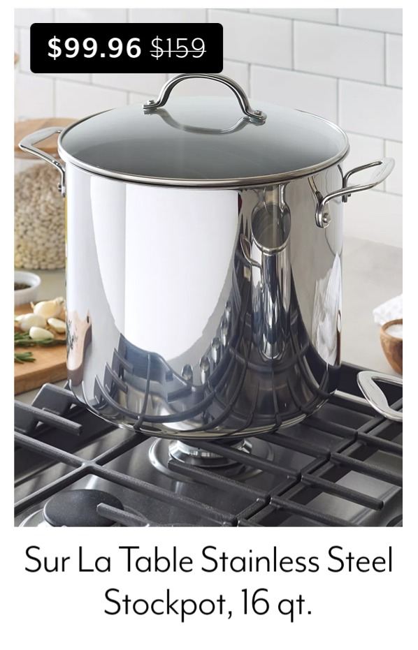 Sur La Table Signature Stainless Steel Stockpot