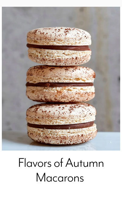 Flavors of Autumn Macarons
