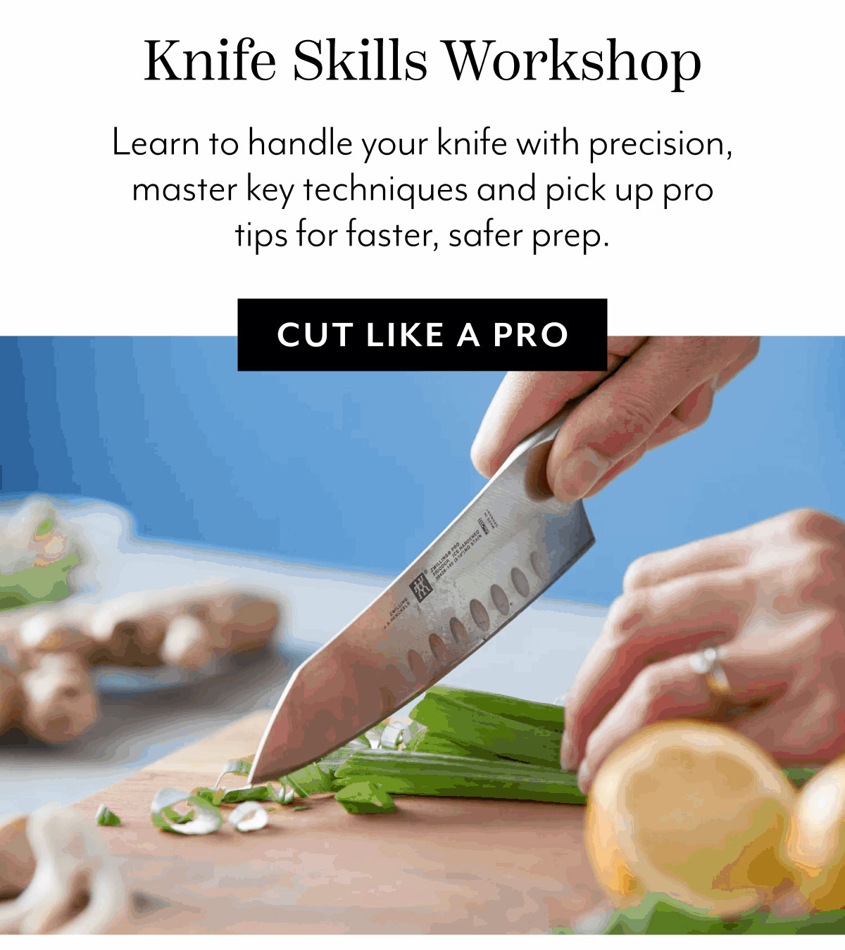 Cut Like a Pro