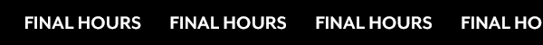 Final Hours 