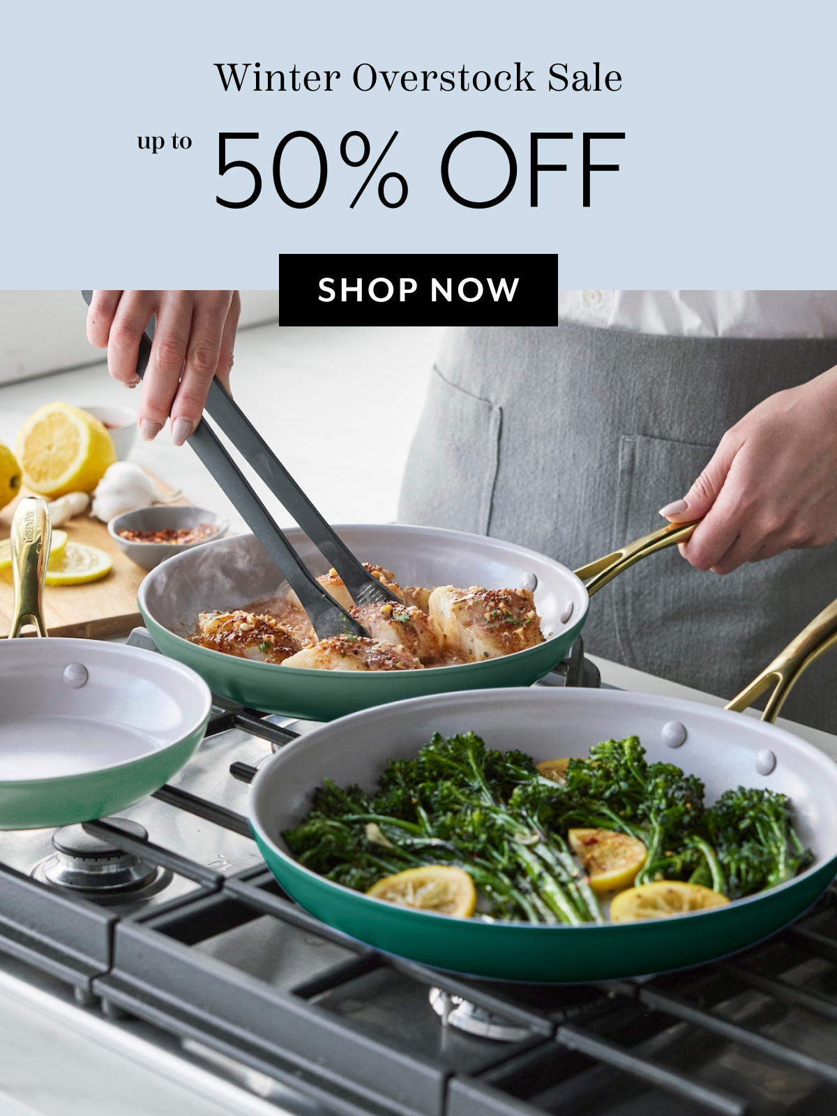Winter Overstock Sale