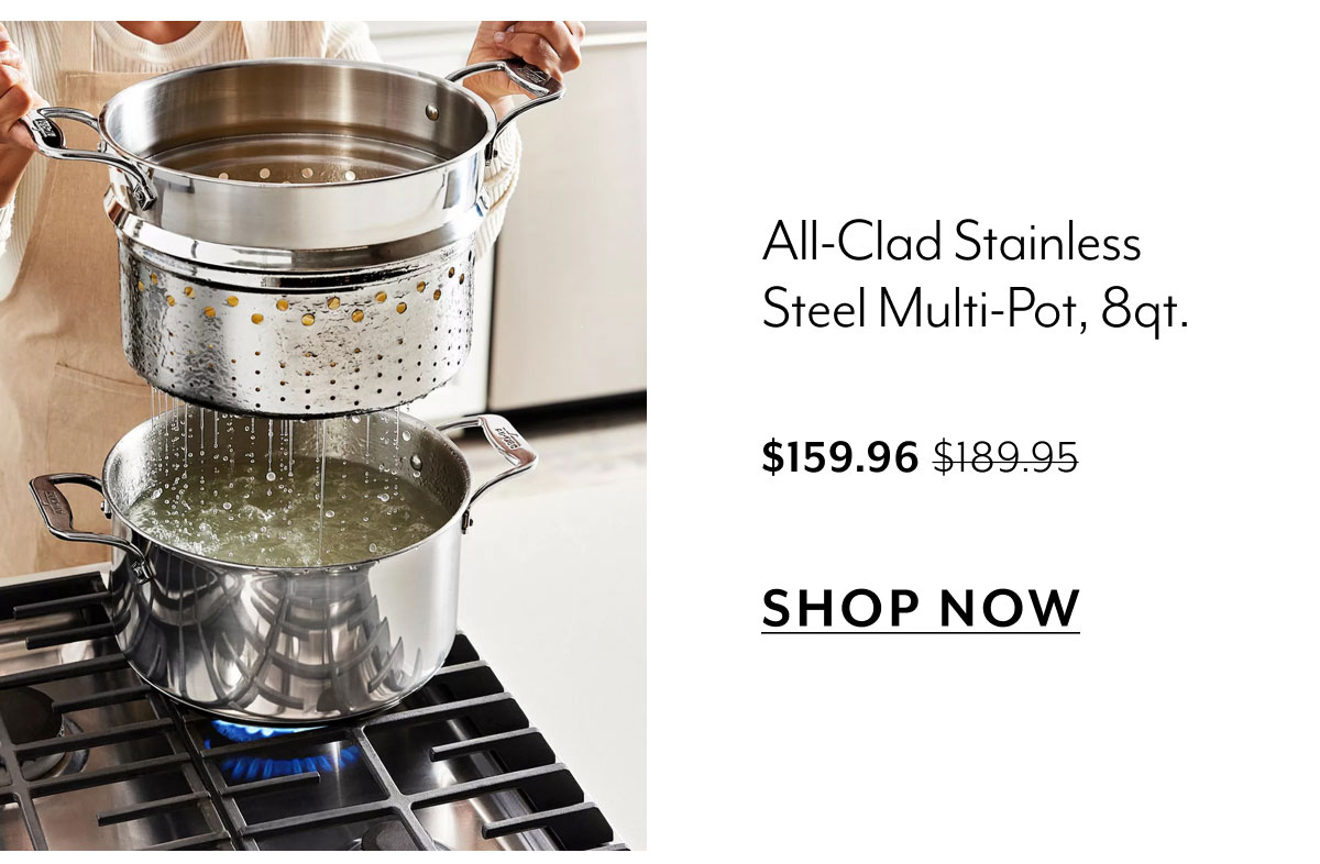 All-Clad Stainless Steel Multi-Pot