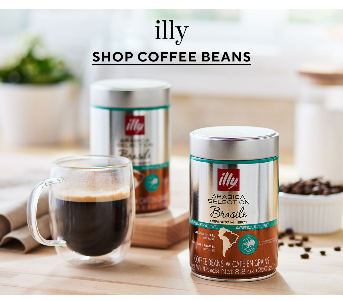 illy