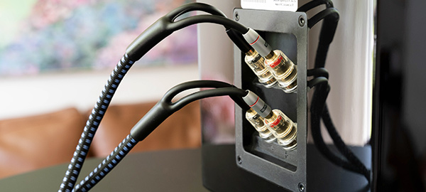 Learn about Bi-Wiring