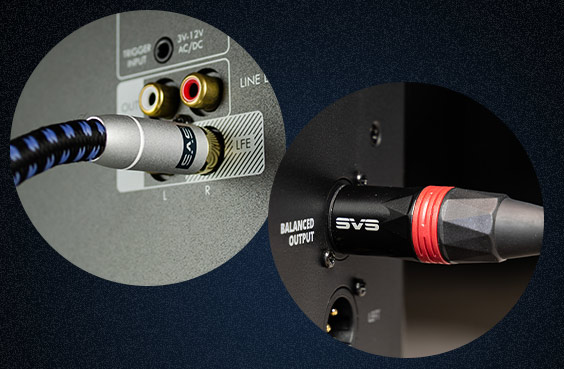 Image to Learn about XLR vs. RCA