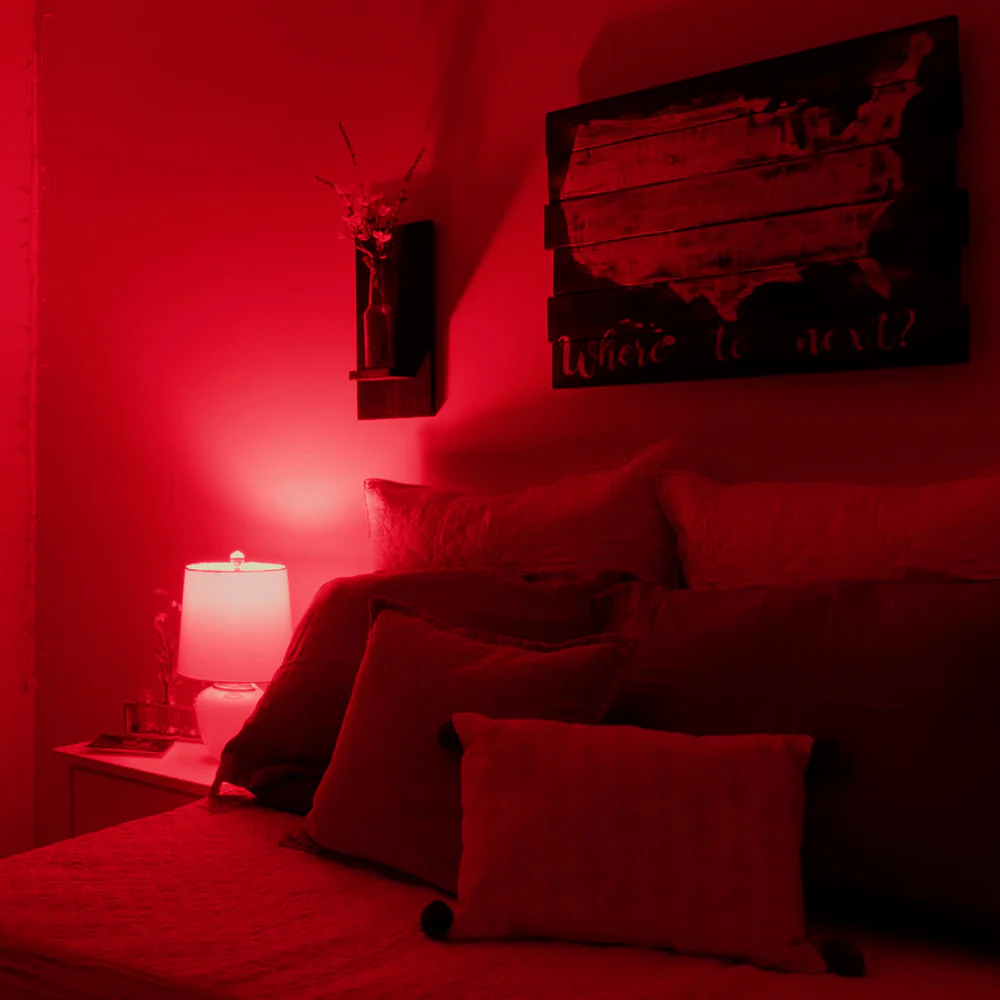 Lighting Collection