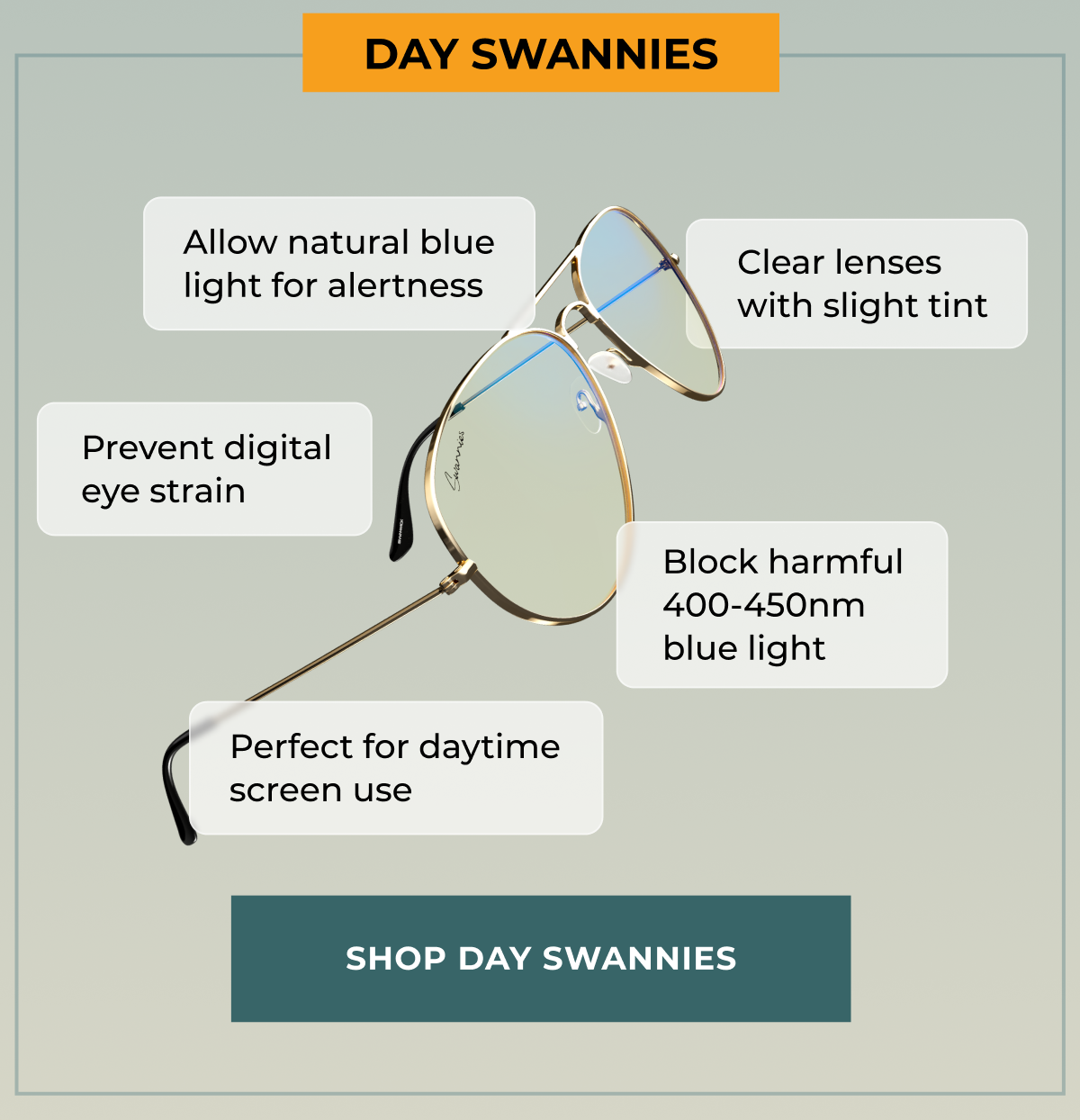 Shop Day Swannies