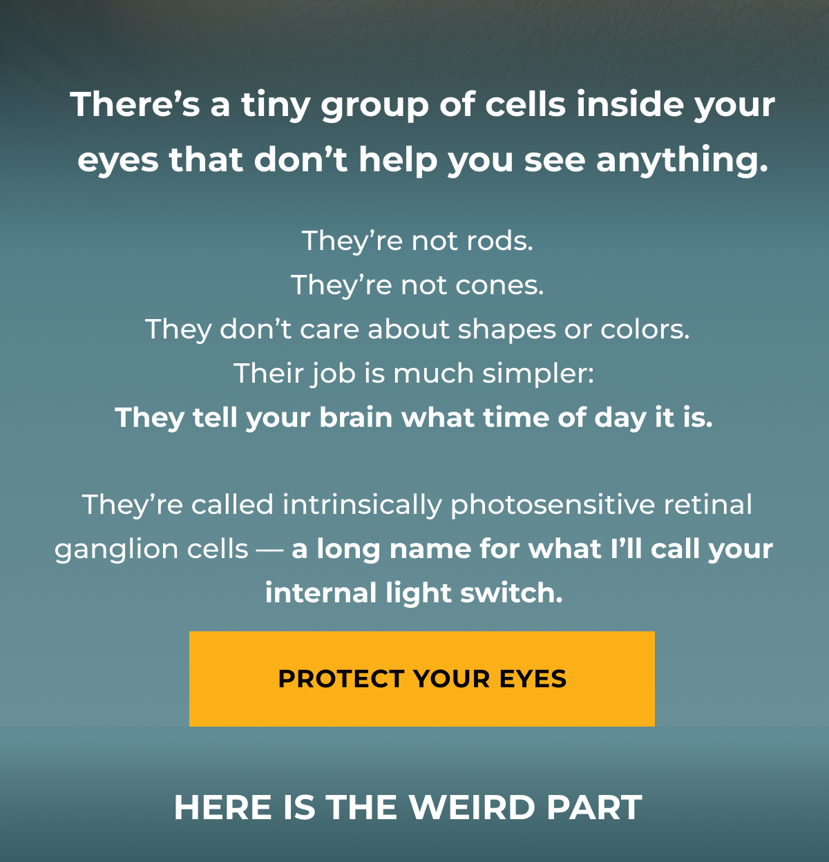 There’s a tiny group of cells inside your eyes that don’t help you see anything.  They’re not rods.  They’re not cones.  They don’t care about shapes or colors. Their job is much simpler: They tell your brain what time of day it is.   They’re called intrinsically photosensitive retinal ganglion cells — a long name for what I’ll call your internal light switch.. Protect your eyes