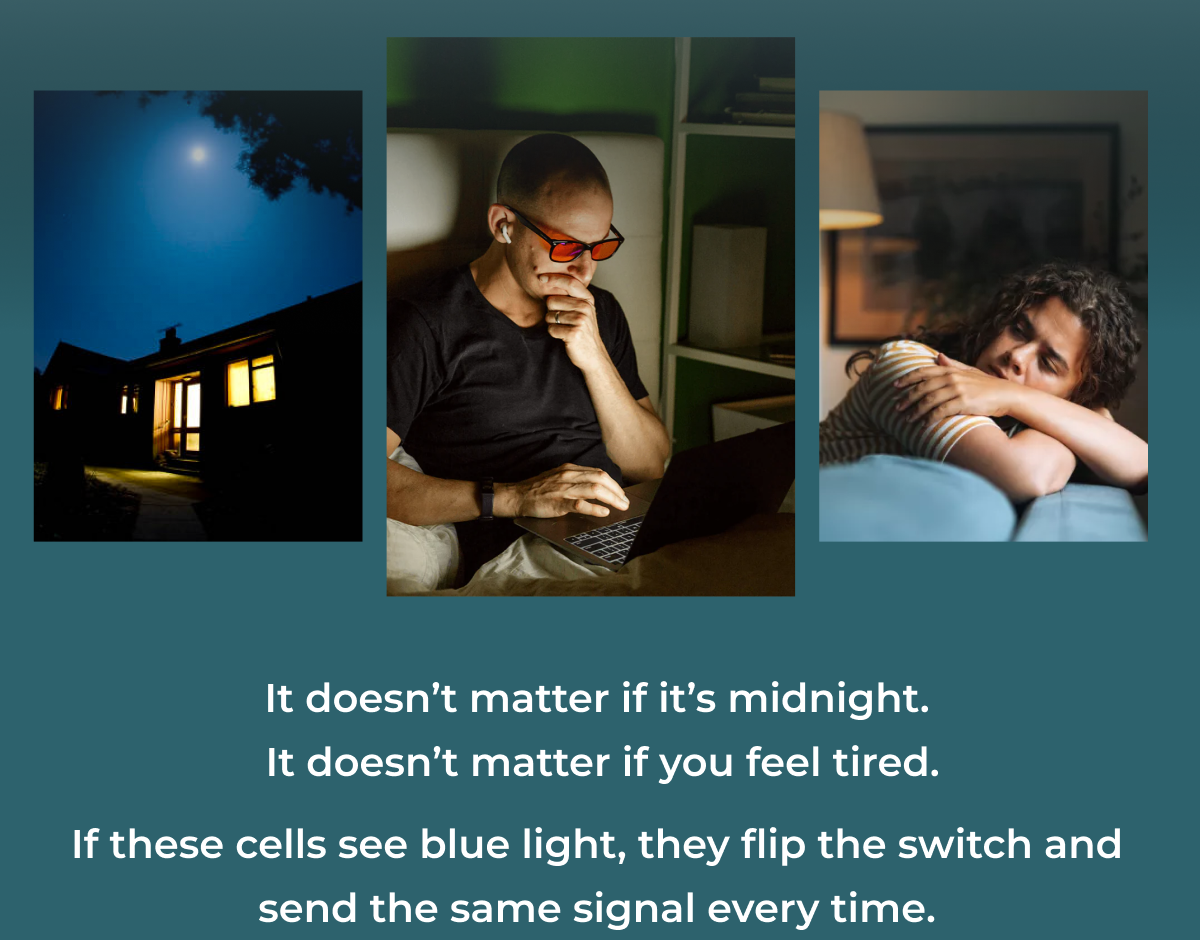 It doesn’t matter if it’s midnight.  It doesn’t matter if you feel tired.  If these cells see blue light, they flip the switch and  send the same signal every time.