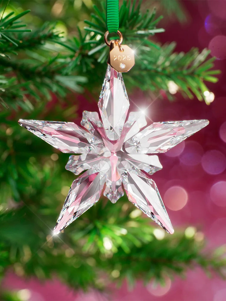 2025 Annual Edition Ornament hanging from tree