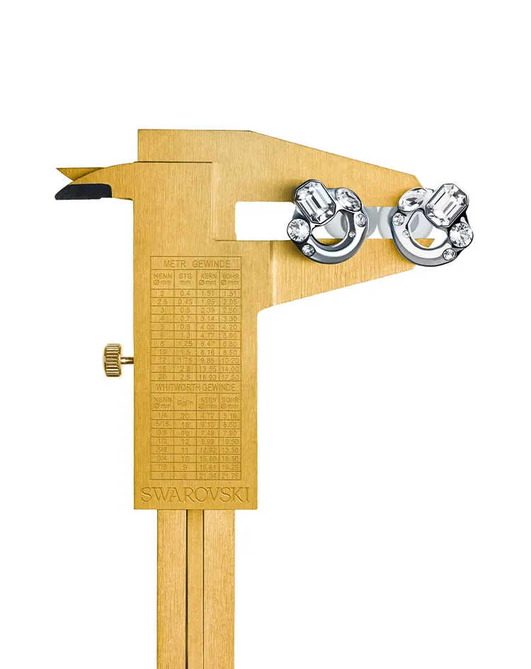 Clamp holding Loop earplugs