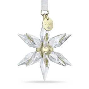 Annual Edition 3D Ornament 2025