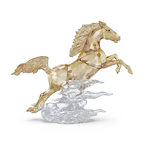 Asian Symbols Leaping Horse