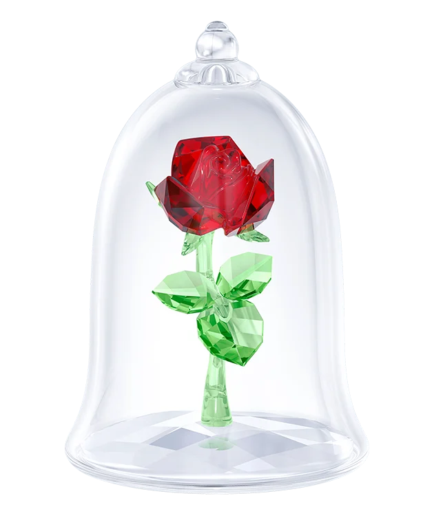 Enchanted Rose
