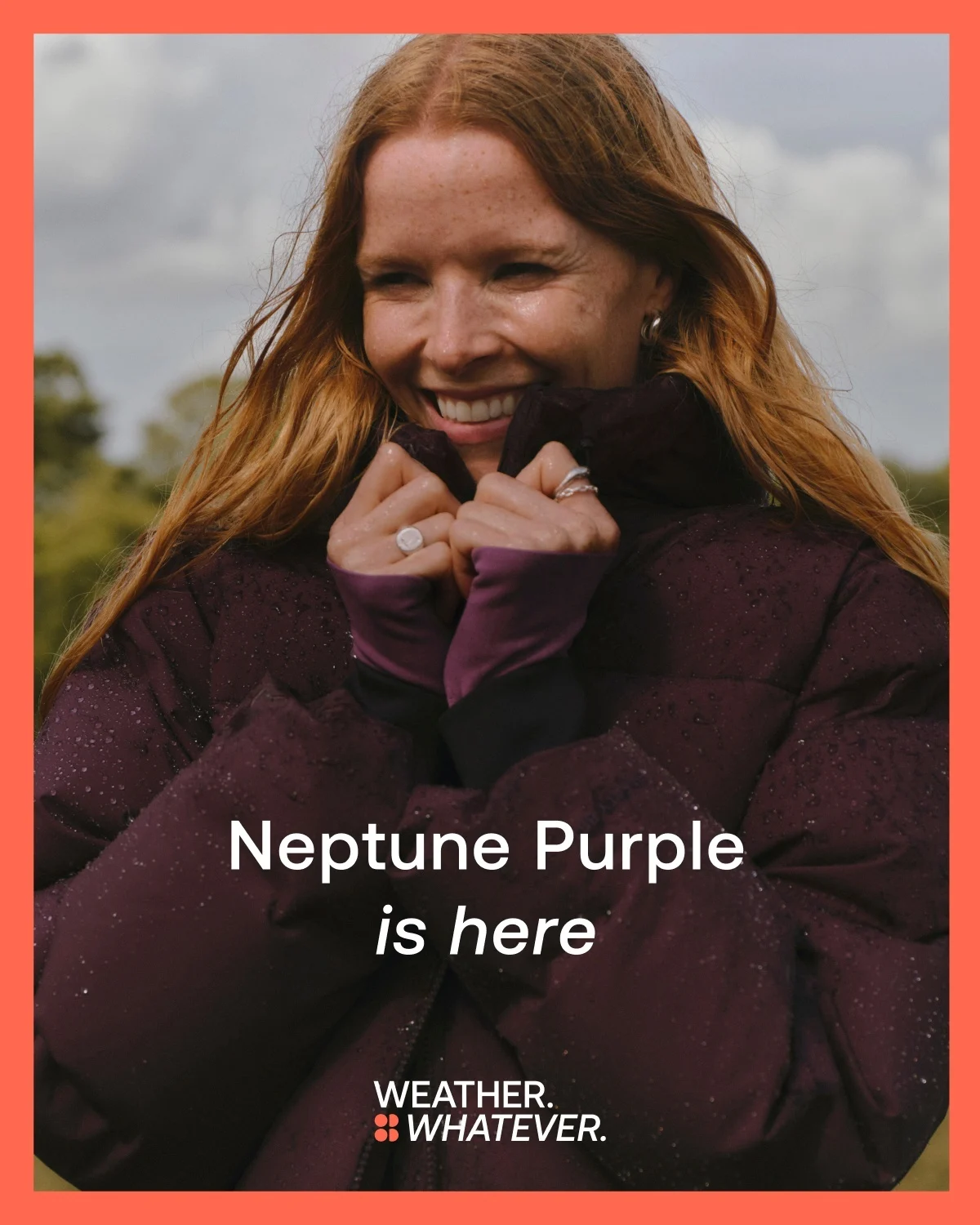 Neptune Purple is here