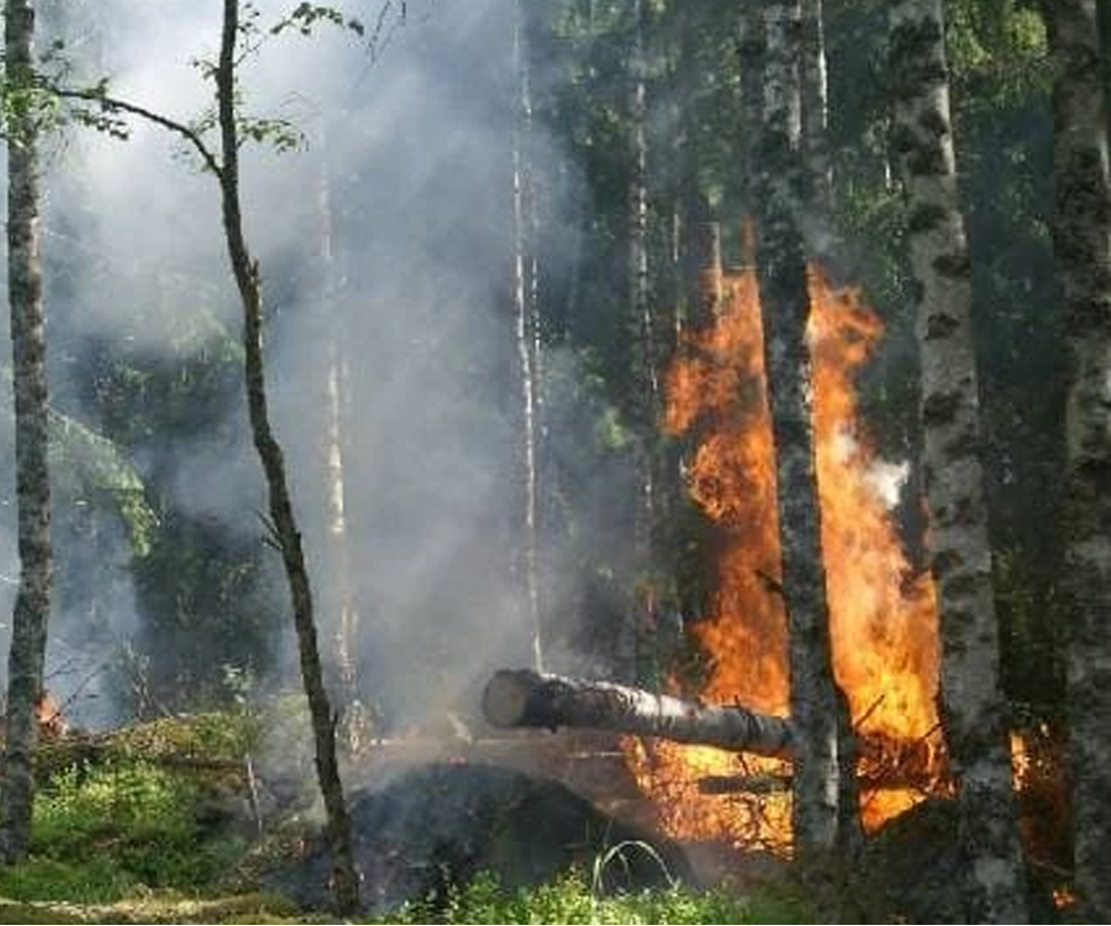 Best Air Purifiers for Wildfire Smoke