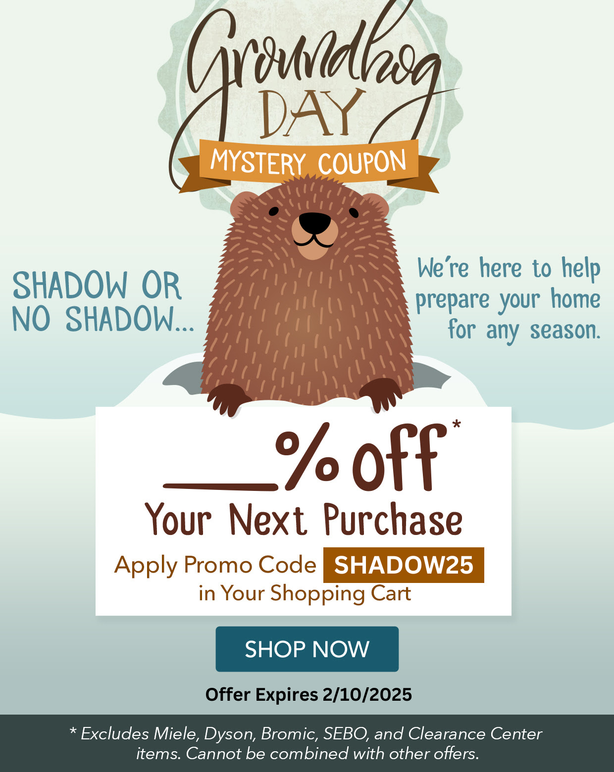Groundhog Day Mystery Coupon